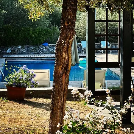 Il Gelso Bed & Breakfast *
