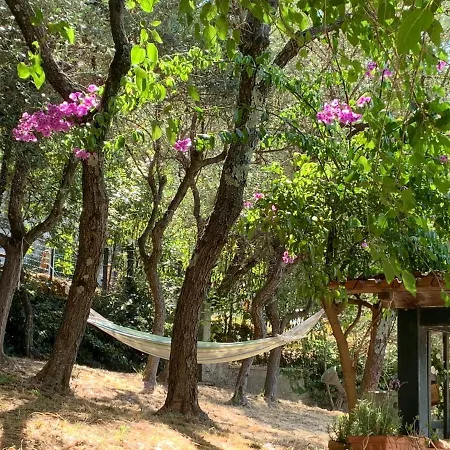 Il Gelso Bed & Breakfast 3*