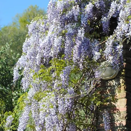 Il Gelso San Bartolomeo