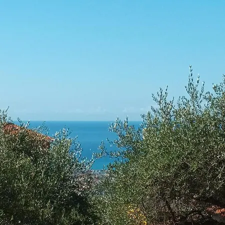 Il Gelso Bed & Breakfast