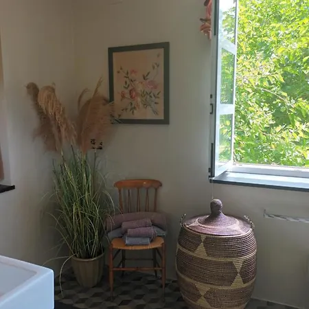 Il Gelso Bed & Breakfast