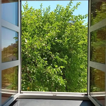 Bed & Breakfast Il Gelso 3*