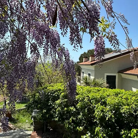 Bed & Breakfast Il Gelso 3*