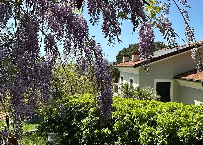 Bed & Breakfast Il Gelso 3*